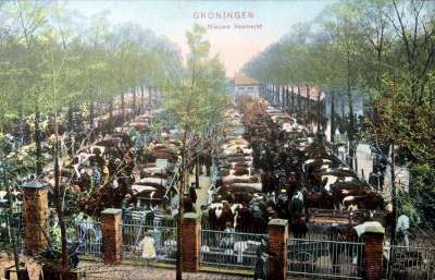 De veemarkt voor de oorlog in Groningen